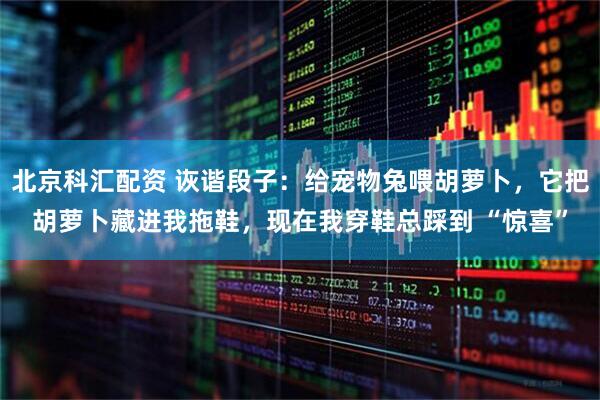 北京科汇配资 诙谐段子：给宠物兔喂胡萝卜，它把胡萝卜藏进我拖鞋，现在我穿鞋总踩到 “惊喜”