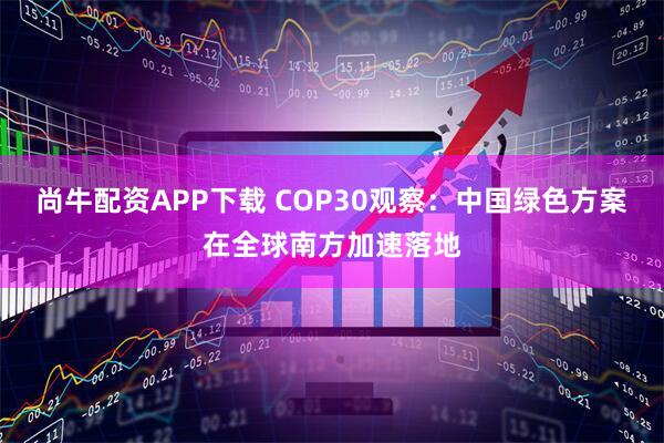 尚牛配资APP下载 COP30观察：中国绿色方案在全球南方加速落地
