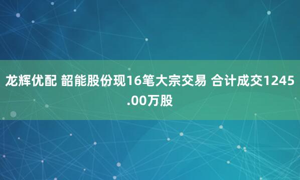 龙辉优配 韶能股份现16笔大宗交易 合计成交1245.00万股