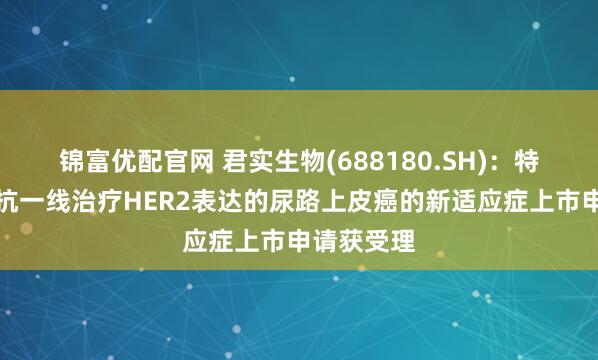 锦富优配官网 君实生物(688180.SH)：特瑞普利单抗一线治疗HER2表达的尿路上皮癌的新适应症上市申请获受理