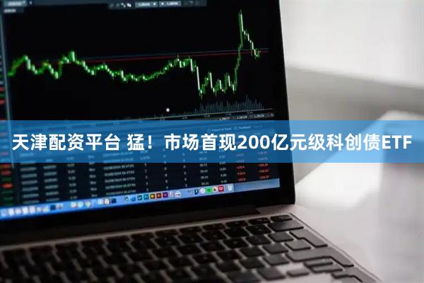 天津配资平台 猛！市场首现200亿元级科创债ETF