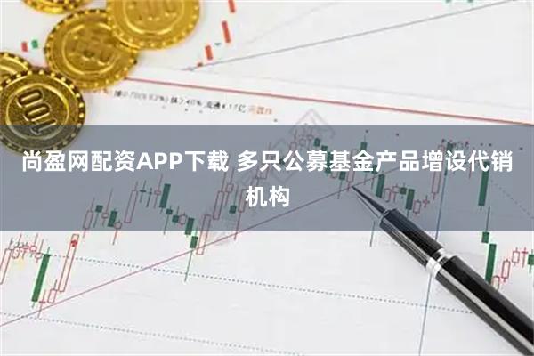 尚盈网配资APP下载 多只公募基金产品增设代销机构