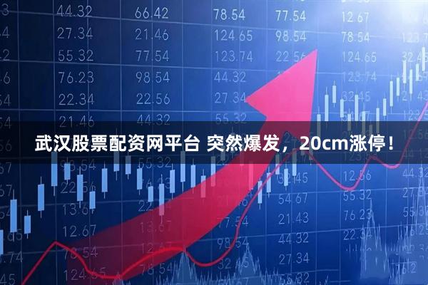 武汉股票配资网平台 突然爆发，20cm涨停！